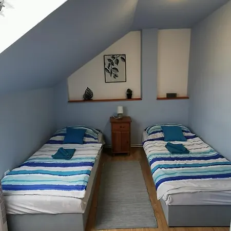 Kis Rigó