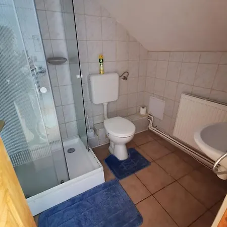 Guest house Kis Rigo Vendeghaz 2*