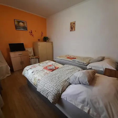 Guest house Kis Rigo Vendeghaz 2*