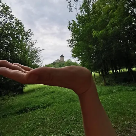 Kis Rigo Vendeghaz Pensjonat 2*