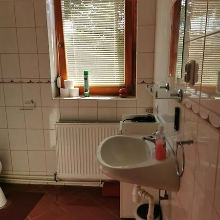 Kis Rigo Vendeghaz Pensjonat 2*